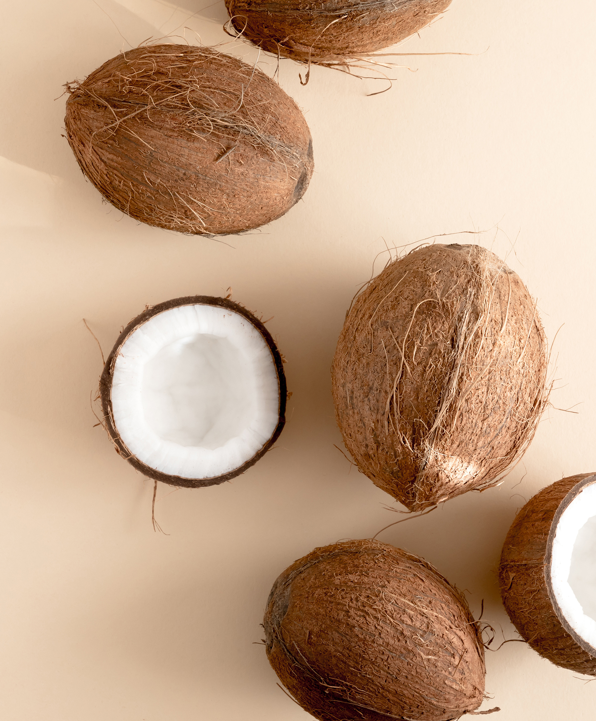 Group of coconuts