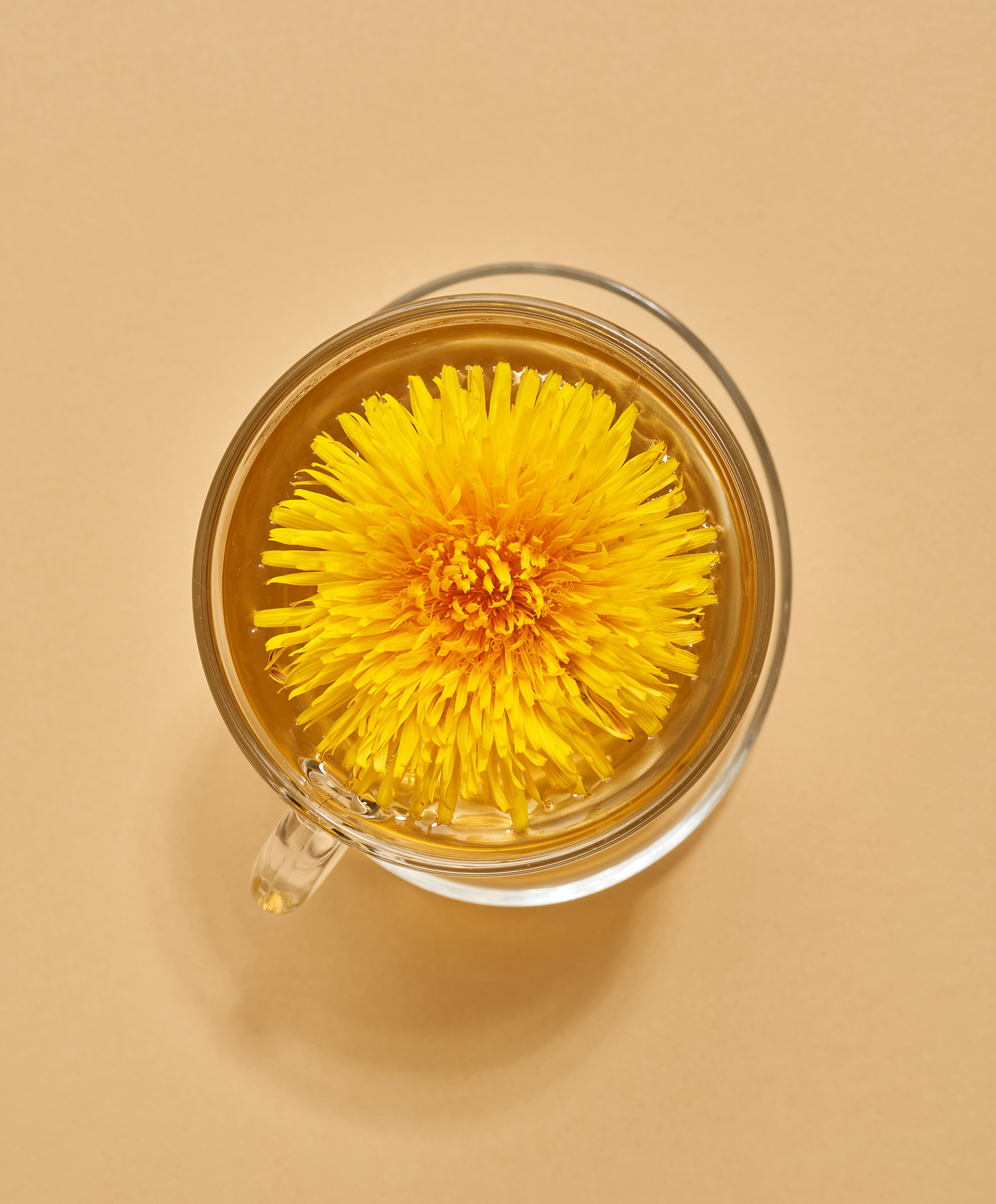 Image depicting Inula Flower