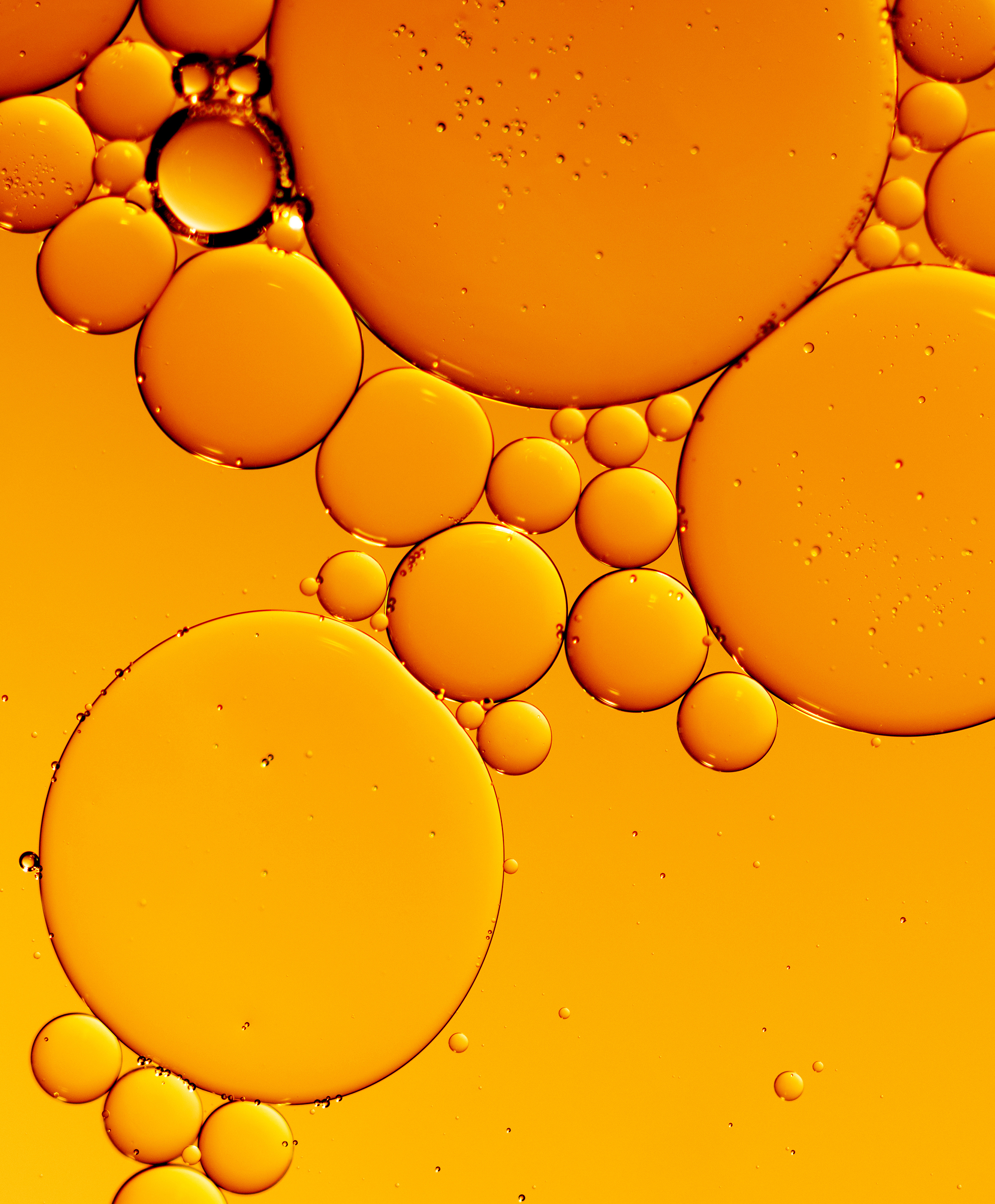 Image depicting Olive Oil