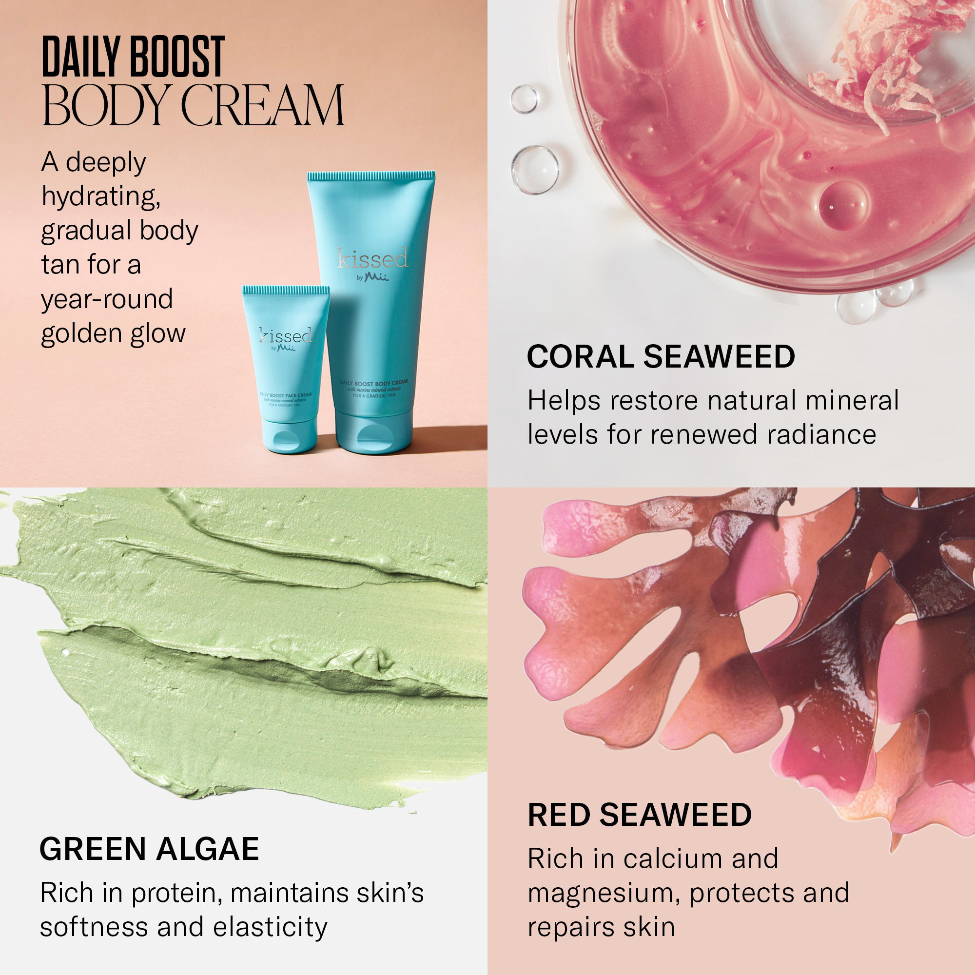 Daily Boost Body Cream for a Gradual Tan active ingredients