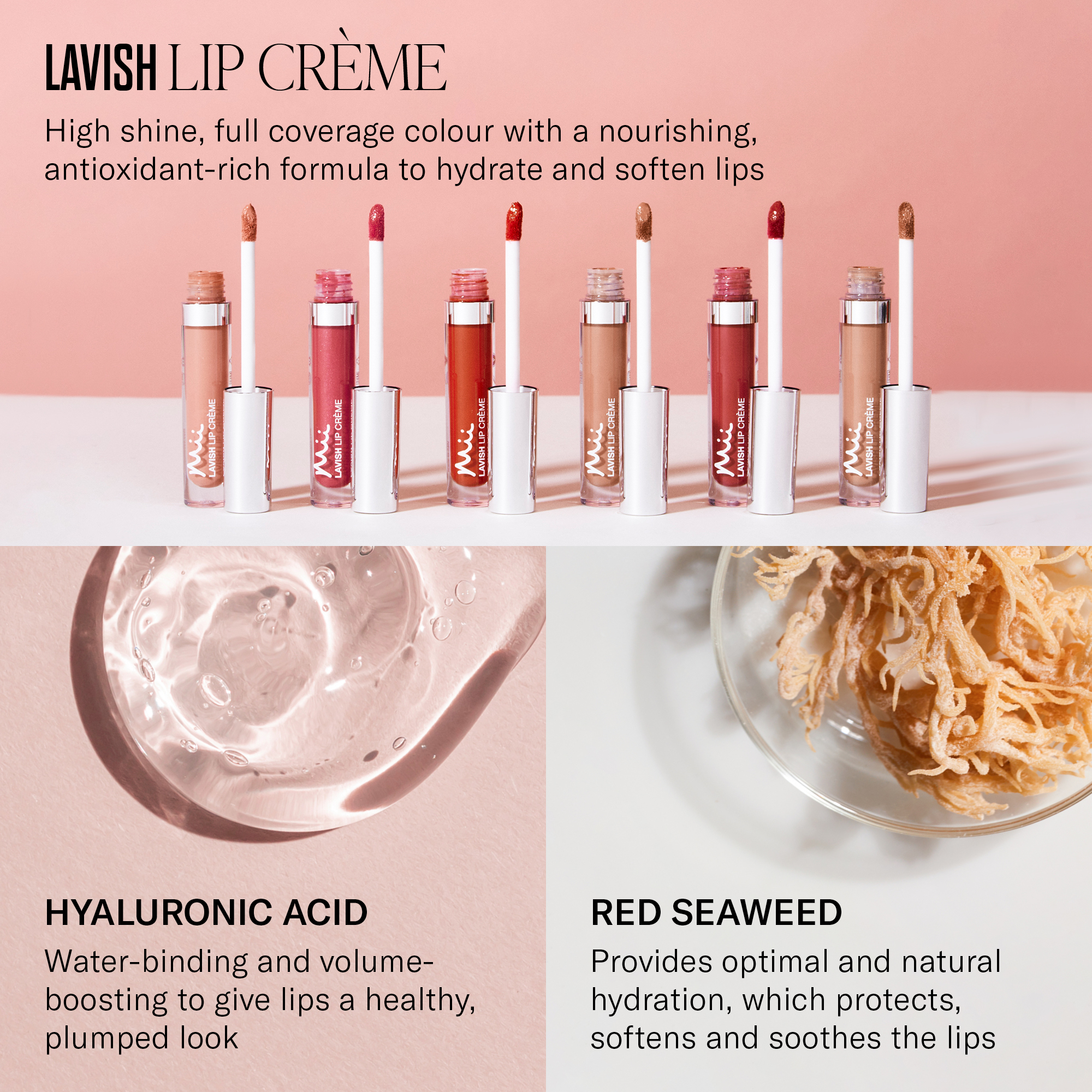 Mii_Lavish_Lip_Creme_ActiveIngredients_2000x2000px