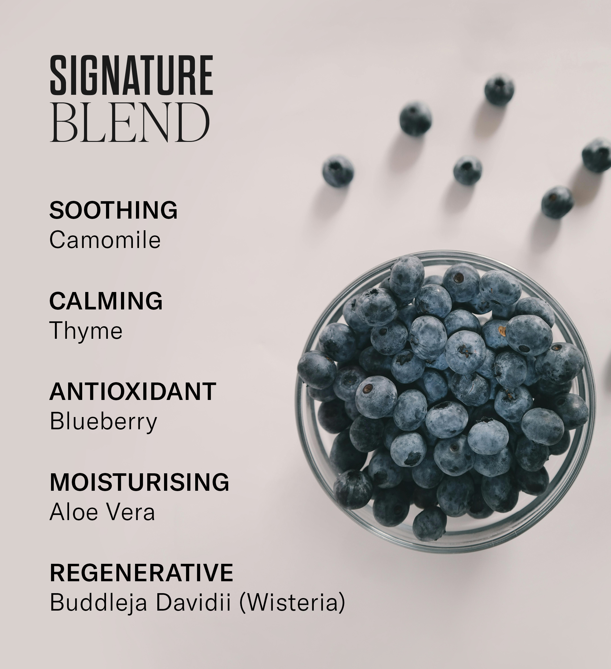Mii_Signature_Blend_Scent