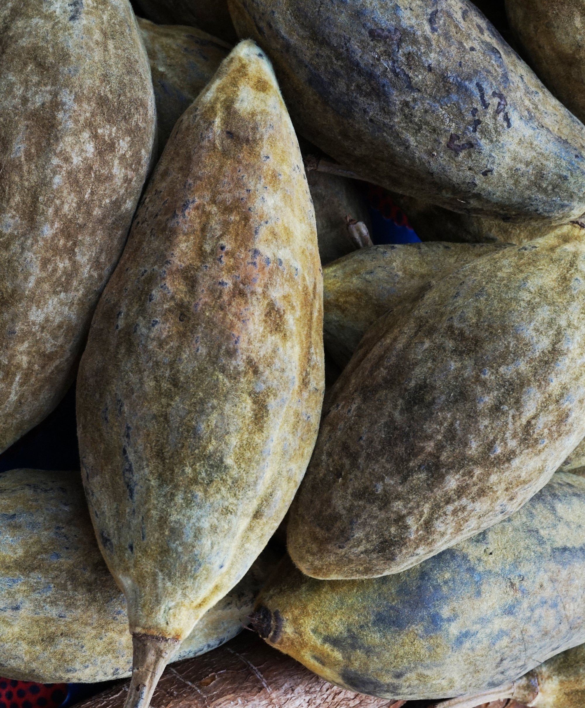 Baobab Oil ingredient