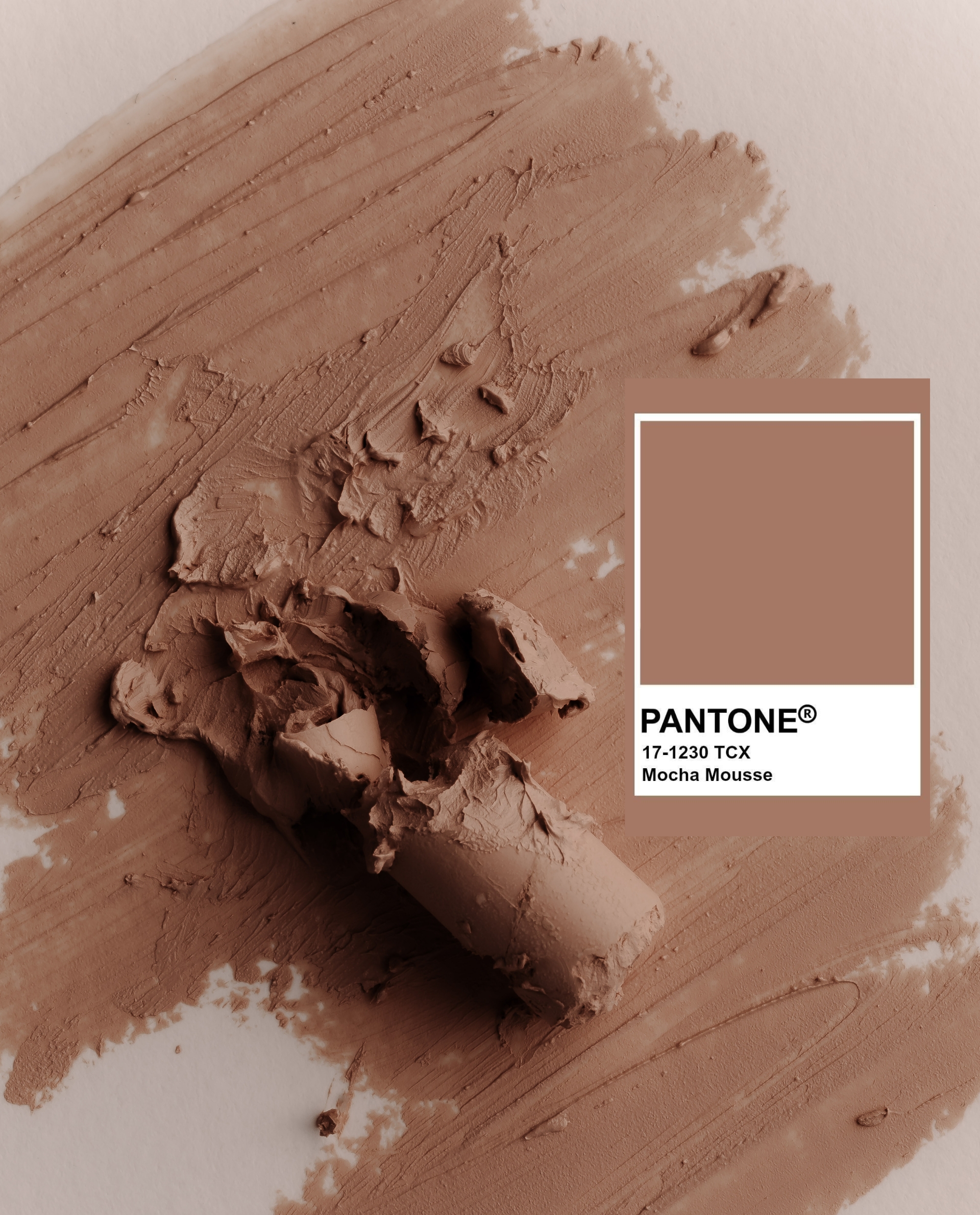 Pantone of the Year Mocha Mousse