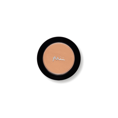 Irresistible Face Base Mineral Foundation SPF 30 in shade Precious 10