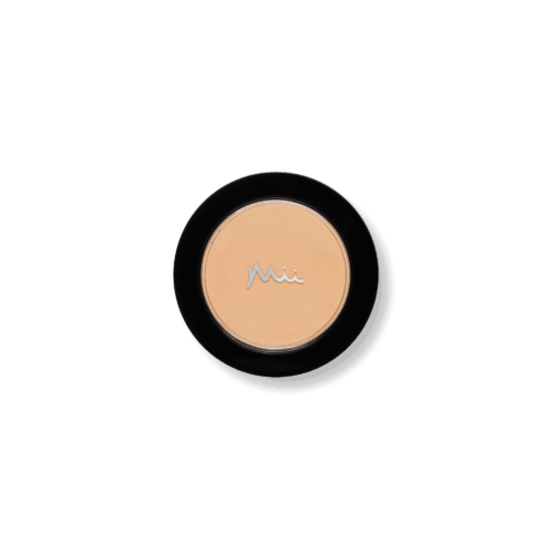 Irresistible Face Base Mineral Foundation SPF 30 in shade Precious 08