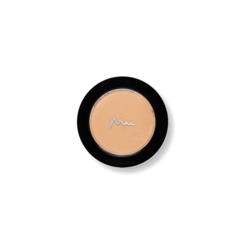 Irresistible Face Base Mineral Foundation SPF 30 in shade Precious 09