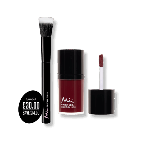 Cheek Veil and Special Effects Finishing Brush Bundle in Ravishing