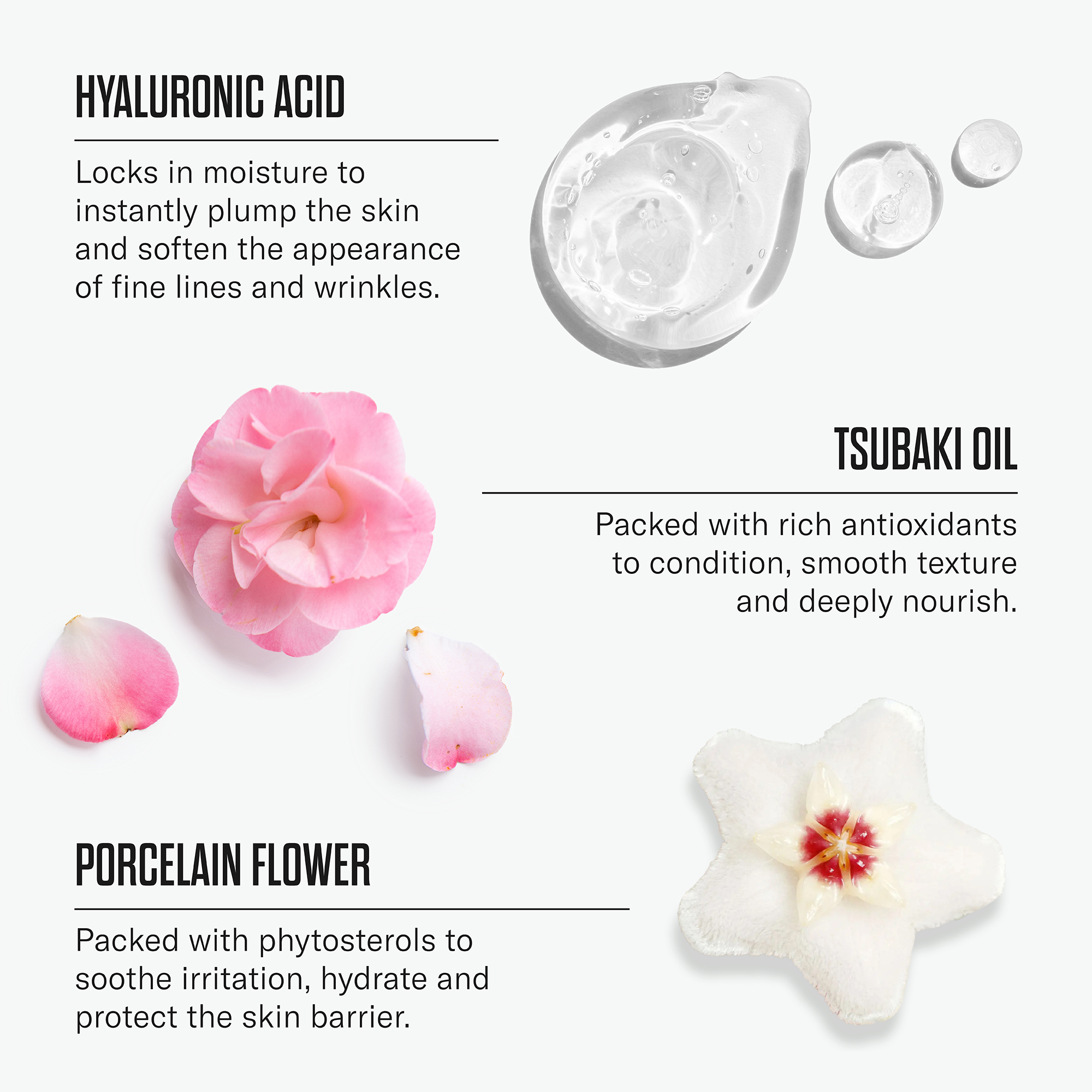 Mii_Skin_Perfecting_Concealer_ActiveIngredients_2000x2000