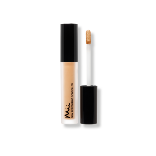 Skin Perfecting Concealer packshot in shade 13