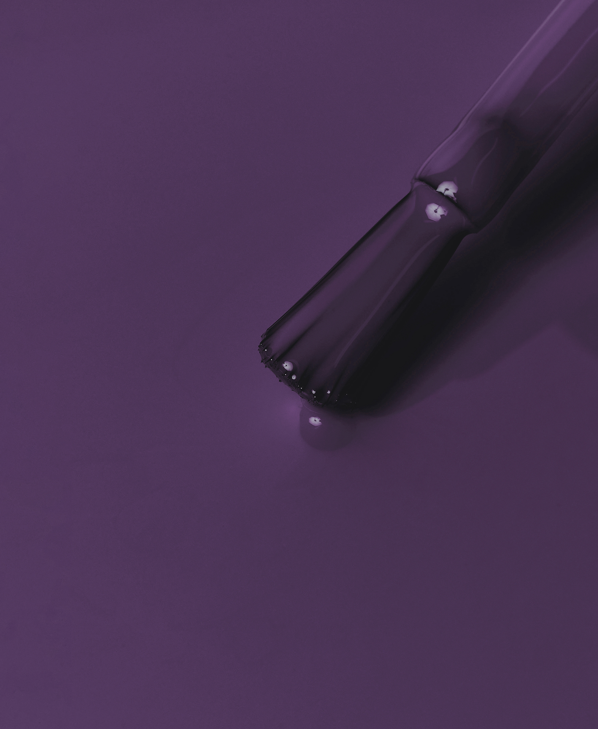 MC219_VIP_Purple_CC_Swatch_2000x2437
